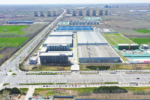 建強(qiáng)創(chuàng)新平臺(tái) 點(diǎn)燃發(fā)展引擎——技術(shù)開發(fā)的新路徑