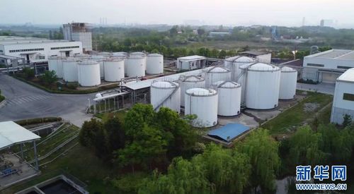 聚焦高質(zhì)量發(fā)展丨湖北 生物制造點(diǎn)燃產(chǎn)業(yè)發(fā)展“綠色引擎”